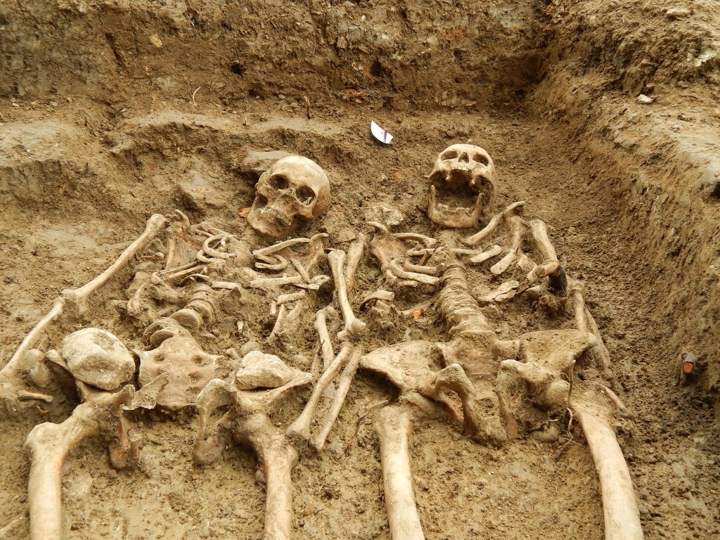 Skeletons Holding Hands