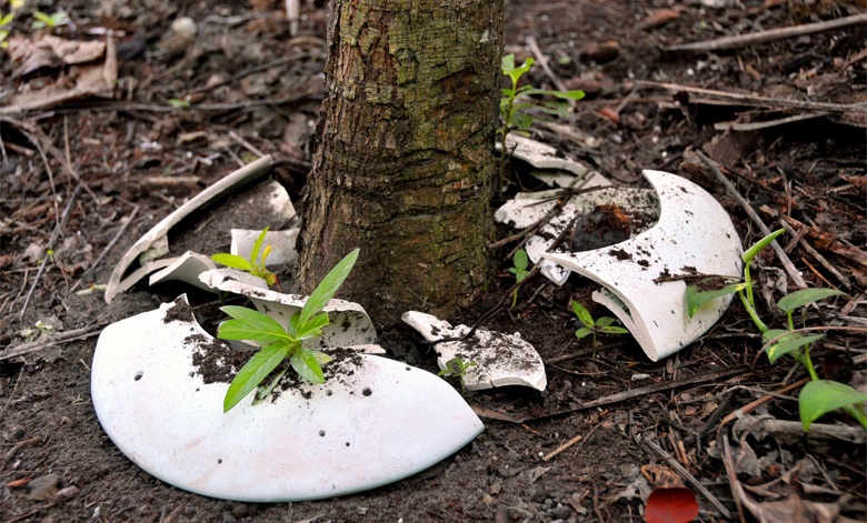 Spirit Tree Cremation Urn